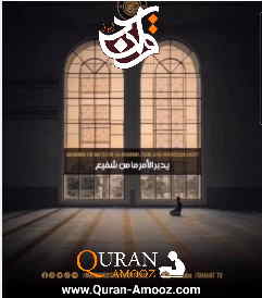 استاد محمود شحات انور
