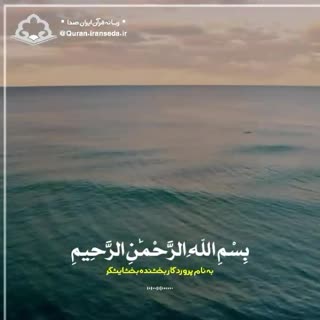 استاد محمد شحات انور