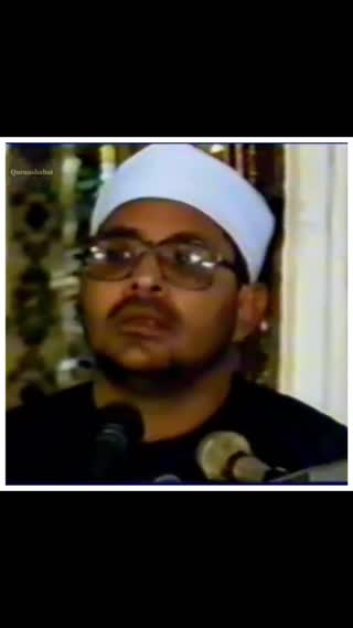استاد محمد شحات انور