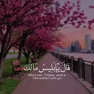 خدایا شکرت 
