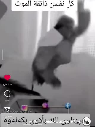 هر کجا باشید مرگ شما را فرا میگیرد