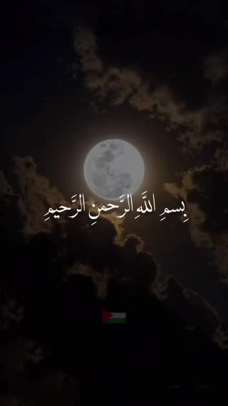 استاد منشاوی