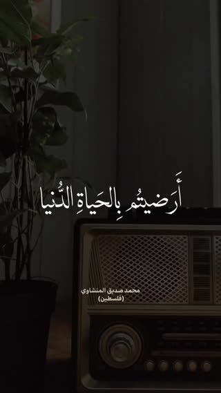استاد منشاوی