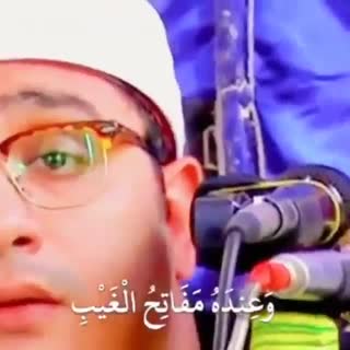 شیخ محمود شحات انور