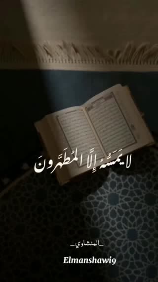 استاد منشاوی