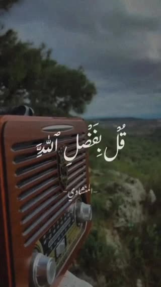 استاد محمد صدیق منشاوی