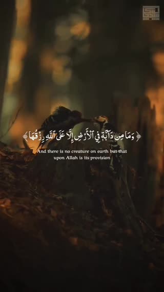 سوره هود آیه 6