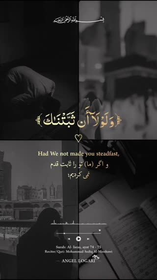 استاد محمد صدیق منشاوی