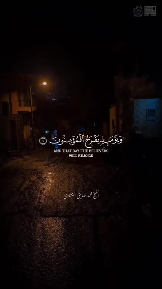 استاد محمد صدیق منشاوی