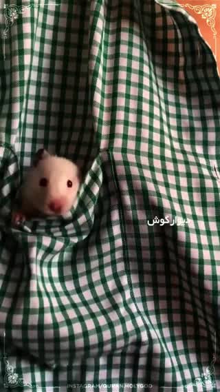 بالاتر از امنیت 