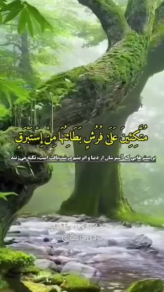 استاد محمد شحات انور