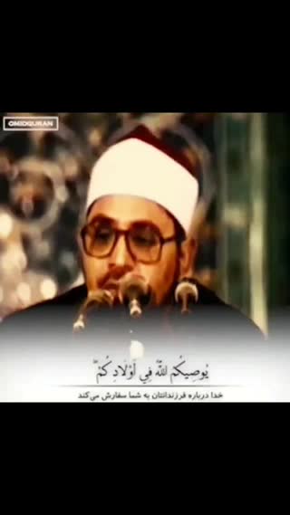 استاد محمد شحات انور