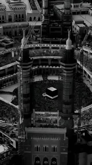 استاد محمود شحات انور
