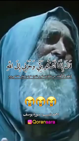 استاد احمد شبیب