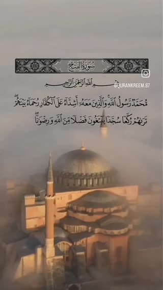 استاد عبدالباسط