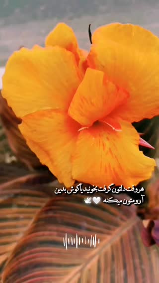 دلتنگی