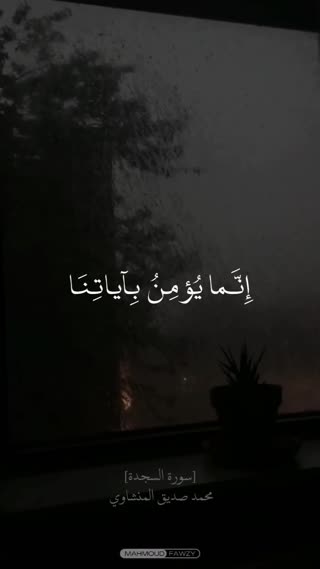 استاد محمد صدیق منشاوی