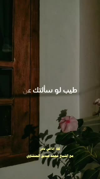 استاد محمد صدیق منشاوی