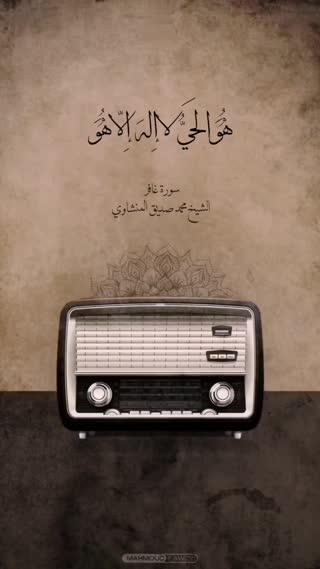 استاد محمد صدیق منشاوی
