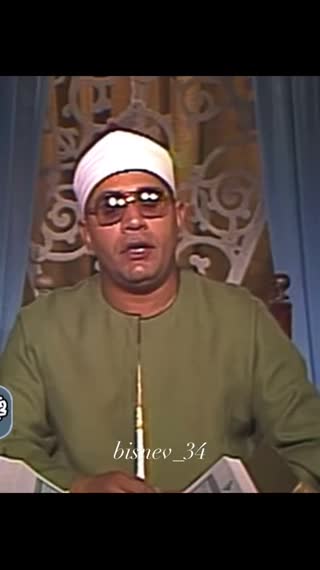 استاد محمد شحات انور