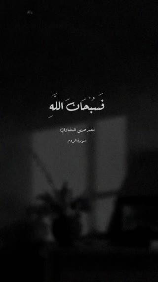 استاد محمد صدیق منشاوی
