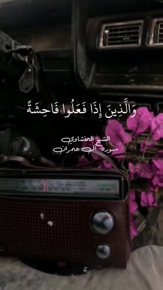 استاد محمد صدیق منشاوی