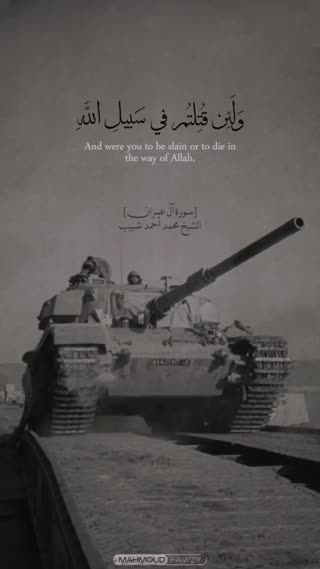 شیخ محمد احمد شیب