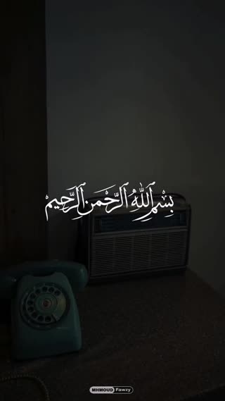 استاد محمد صدیق منشاوی
