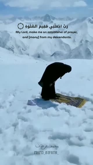 شیخ محمد عرفات