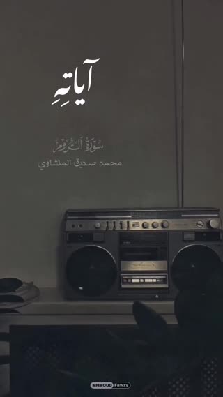 استاد محمد صدیق منشاوی