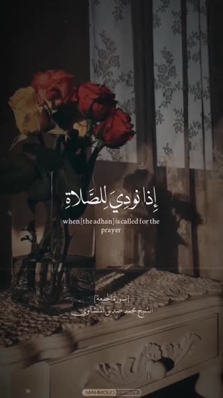 استاد محمد صدیق منشاوی