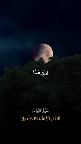 شیخ محمد شحات انور