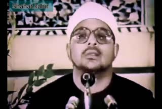 استاد محمد شحات انور