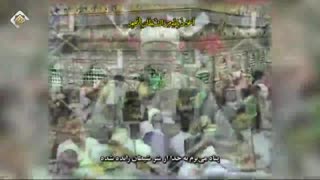 استاد السید متولی عبدالعال