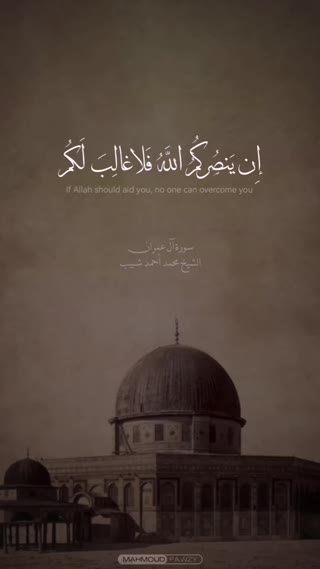 شیخ محمد احمد شیب