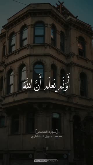 استاد محمد صدیق منشاوی