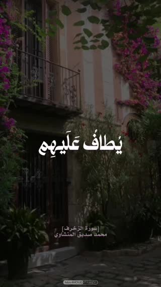 استاد محمد صدیق منشاوی