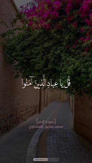 استاد محمد صدیق منشاوی