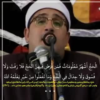 استاد محمود شحات انور