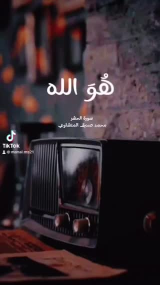 استاد محمد صدیق منشاوی