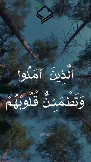 استاد عبدالمنعم طوخی