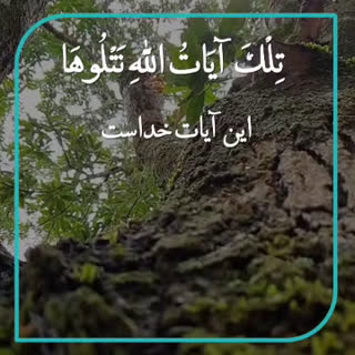 فرازی فوق العاده و فنی از استاد مصطفی اسماعیل