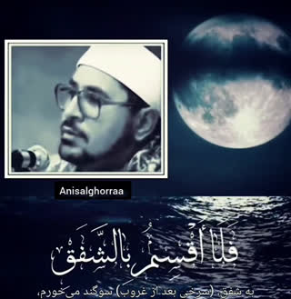 استاد محمد شحات انور
