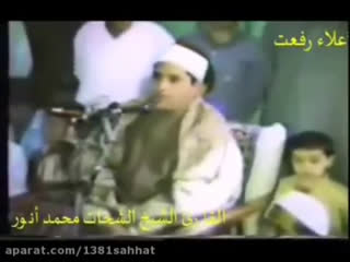 استاد محمد شحات انور
