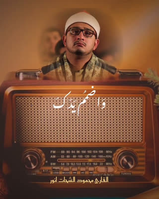 استاد محمود شحات انور