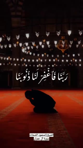 استاد محمود شحات انور