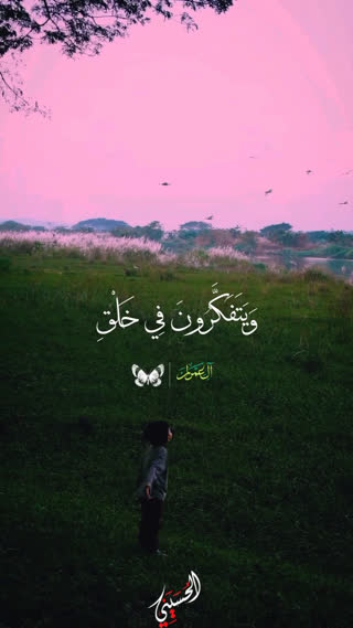 شیخ محمود شحات انور