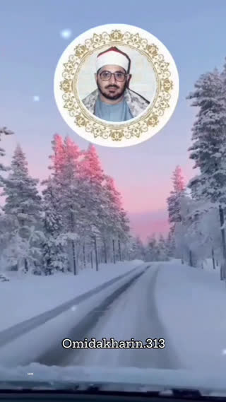 استاد محمد شحات انور