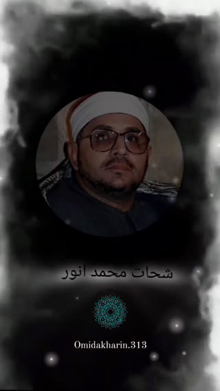 استاد محمد شحات انور