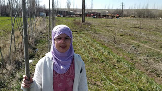 قرائت سوره مبارکه فلق